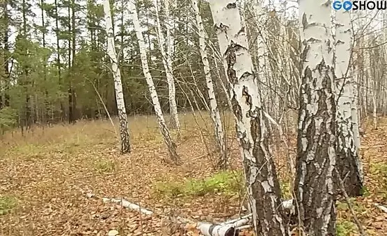 Outdoor MILF Couple Fucking and Cumshot Orgasm